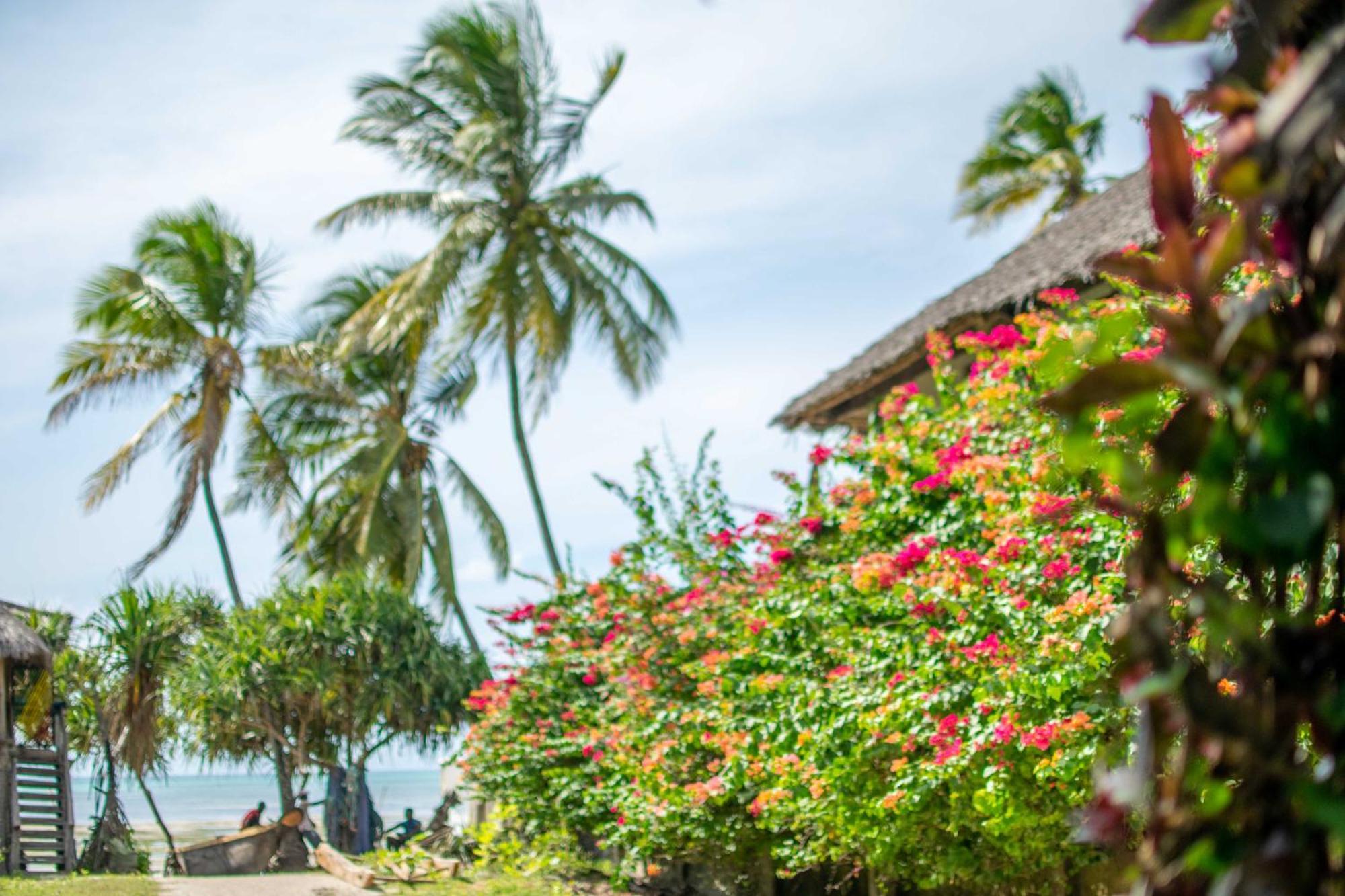 Beachfront Villa Ladha Ya Zanzibar Jambiani  Luaran gambar